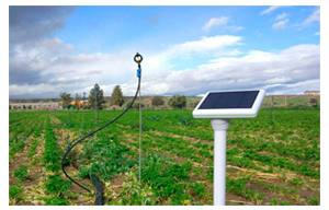 Industrial Computer In Smart Agriculture