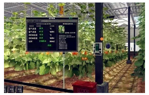 Industrial Computer In Smart Agriculture