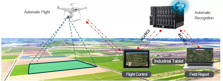 Mechanization and Intelligent Automation On Food Production and Data